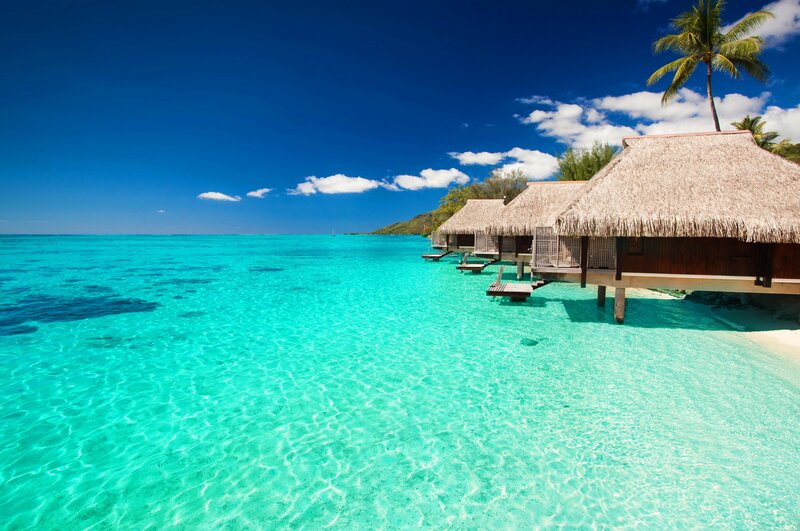 Overwater Bungalows — Blue, Serene, Afternoon, Photograph, Palm Tree, Ocean, Thatched Roof