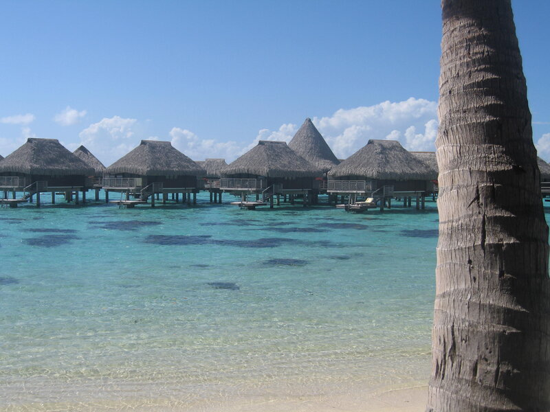 Overwater Bungalows — Blue, Serene, Afternoon, Photograph, Palm Tree, Ocean