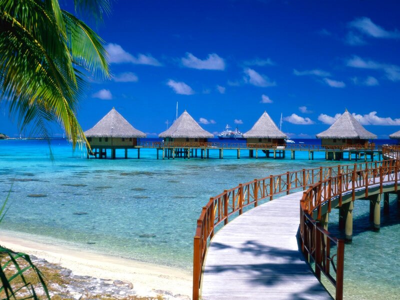 Overwater Bungalows — Blue, Serene, Afternoon, Photograph, Palm Tree, Walkway, Boat