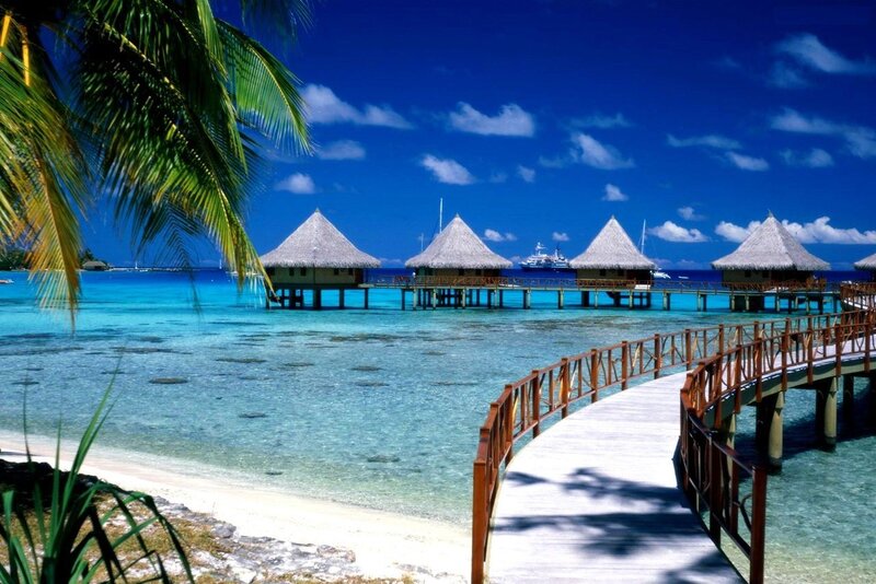 Overwater Bungalows — Blue, Serene, Afternoon, Photograph, Palm Tree, Walkway