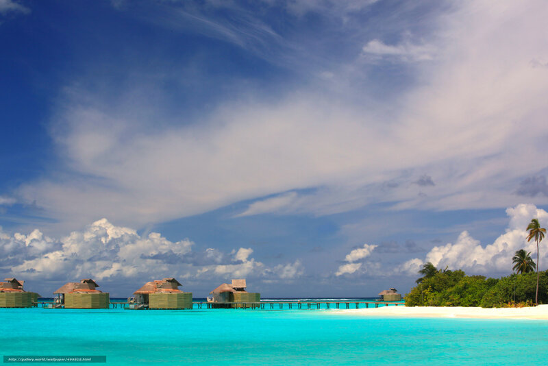 Overwater Bungalows — Blue, Serene, Afternoon, Photograph, Palm Trees, Beach, Clouds