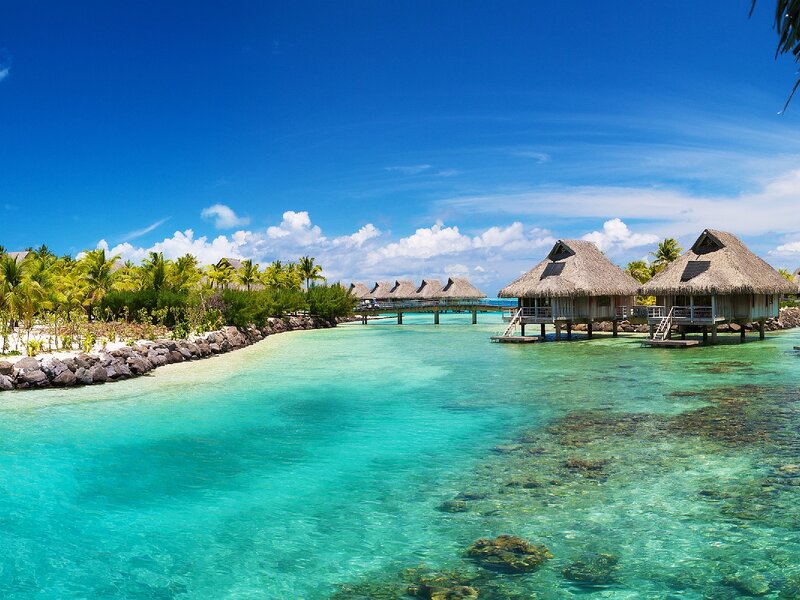 Overwater Bungalows — Blue, Serene, Afternoon, Photograph, Palm Trees, Coral Reef