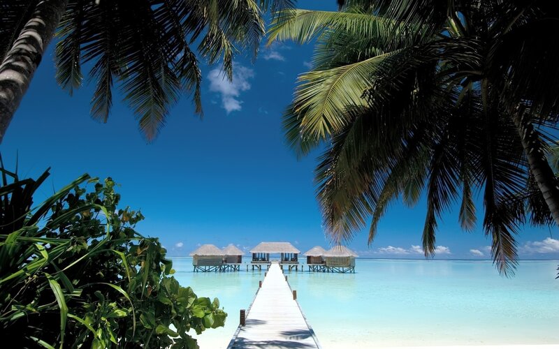Overwater Bungalows — Blue, Serene, Afternoon, Photograph, Palm Trees, Dock, Ocean