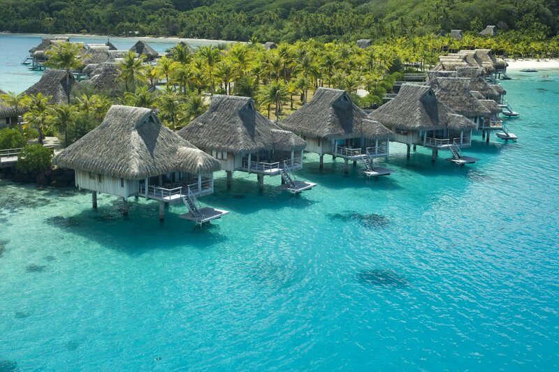 Overwater Bungalows — Blue, Serene, Afternoon, Photograph, Palm Trees, Ocean