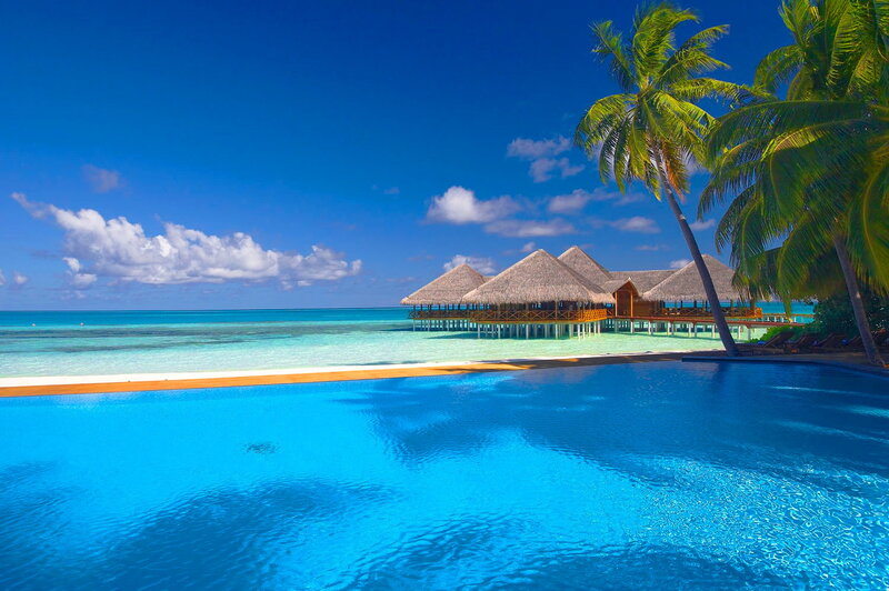 Overwater Bungalows — Blue, Serene, Afternoon, Photograph, Palm Trees, Pool, Ocean
