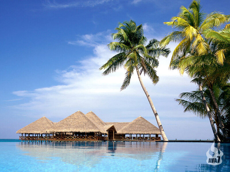 Overwater Bungalows — Blue, Serene, Afternoon, Photograph, Palm Trees, Pool, Thatched Roofs