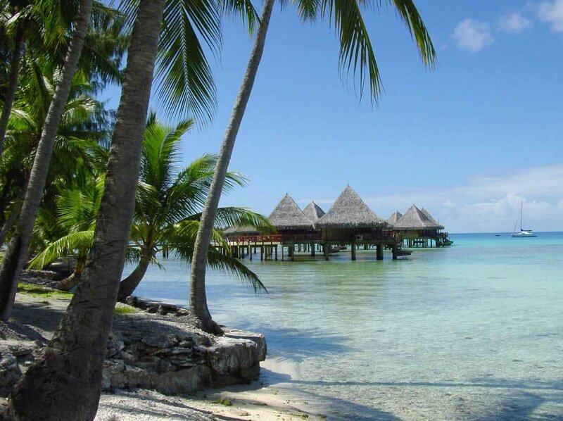 Overwater Bungalows — Blue, Serene, Afternoon, Photograph, Palm Trees, Sailboat