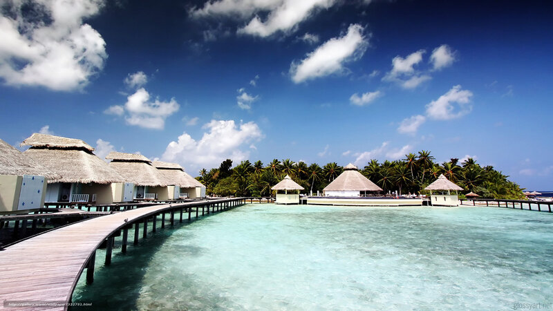 Overwater Bungalows — Blue, Serene, Afternoon, Photograph, Palm Trees, Walkway