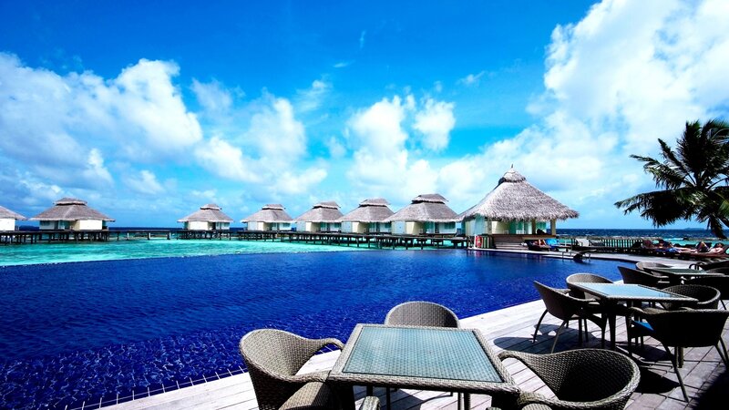 Overwater Bungalows — Blue, Serene, Afternoon, Photograph, Pool, Palm Tree, Ocean