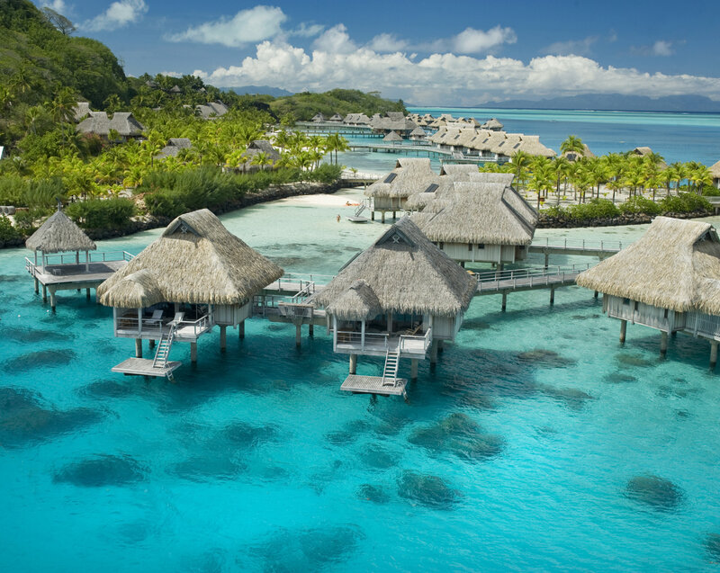 Overwater Bungalows — Blue, Serene, Afternoon, Photograph, Thatched Roofs, Palm Trees