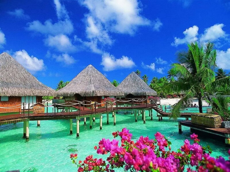 Overwater Bungalows — Blue, Tropical, Afternoon
