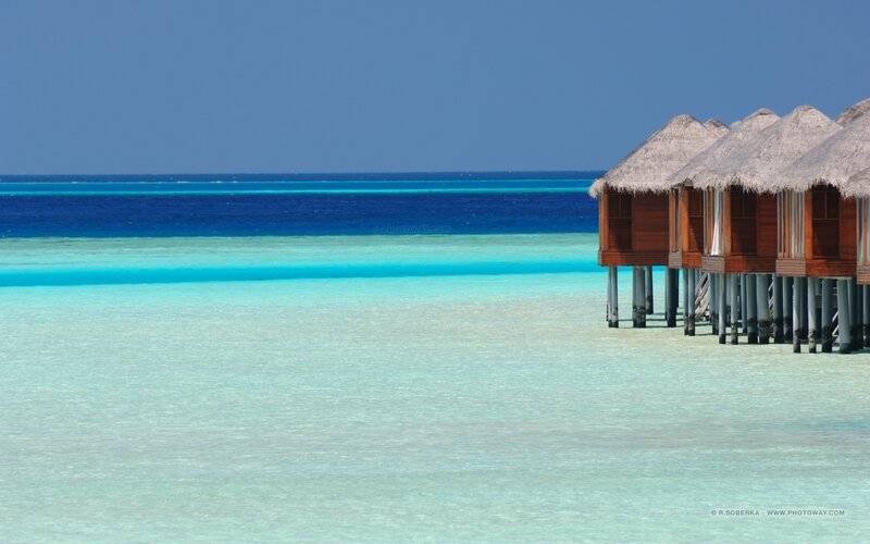 Overwater bungalows in tropical paradise