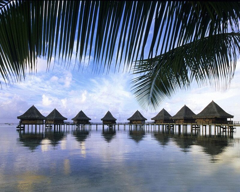 Overwater bungalows in tropical paradise