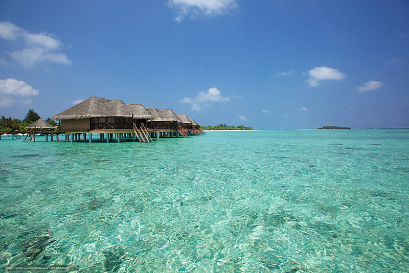 Overwater bungalows in tropical paradise