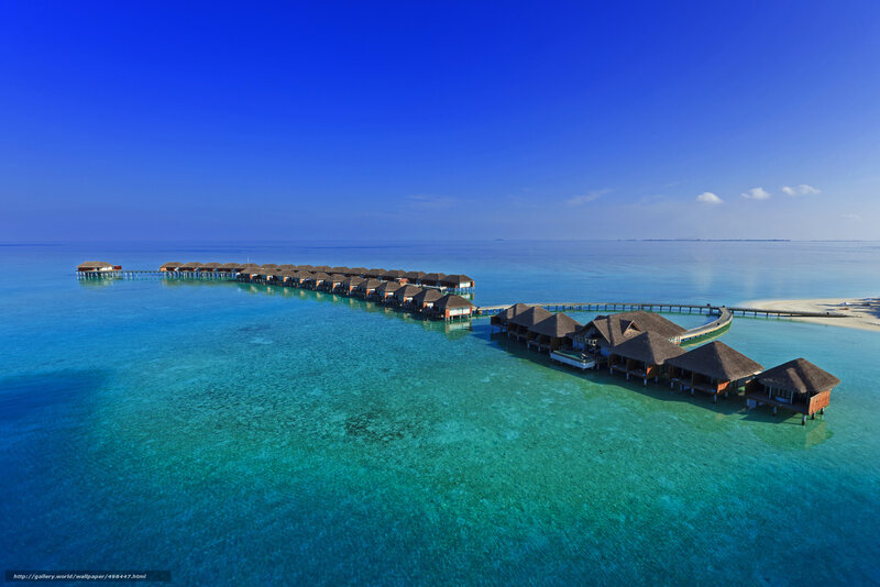 Overwater bungalows in tropical paradise