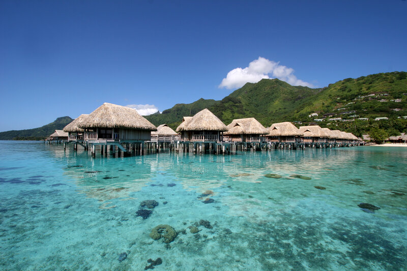Overwater bungalows in tropical paradise