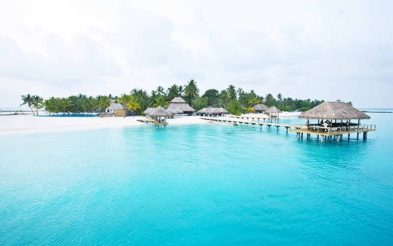 Overwater Bungalows on Beach — Blue, Serene, Afternoon, Photograph, Palm Trees, Dock