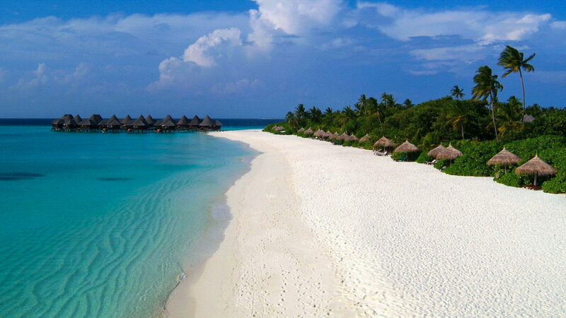 Overwater Bungalows on Beach — Blue, Serene, Afternoon, Photograph, Palm Trees