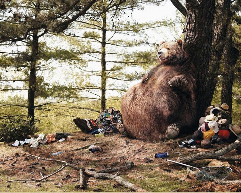 Overweight Bear in Forest
