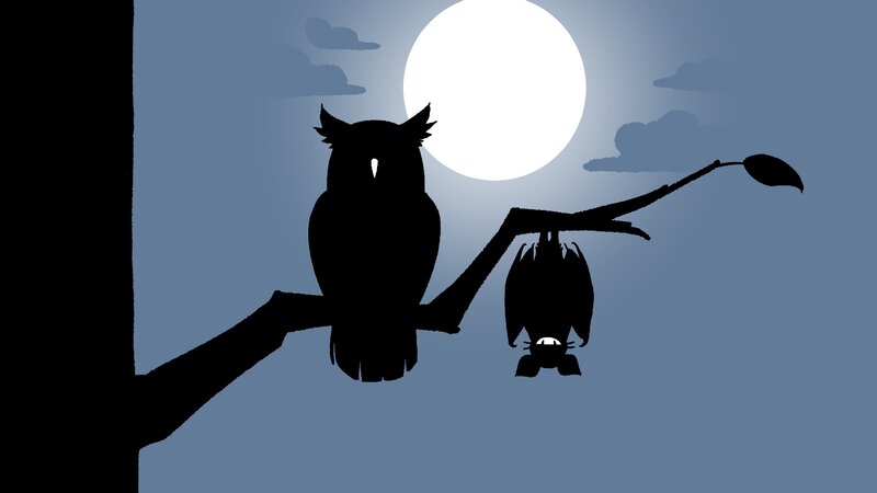Owl and Bat on Branch