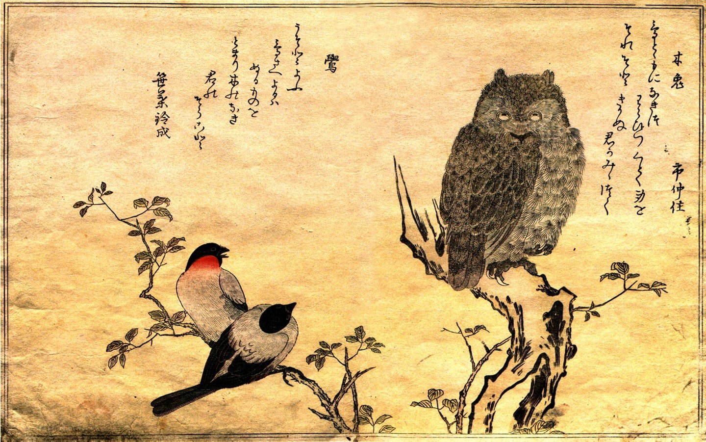 Owl and birds on branches