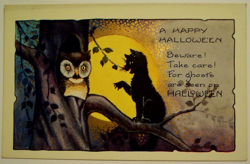 Owl and Black Cat — Yellow