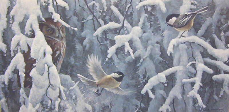 Owl and Chickadees in Snow