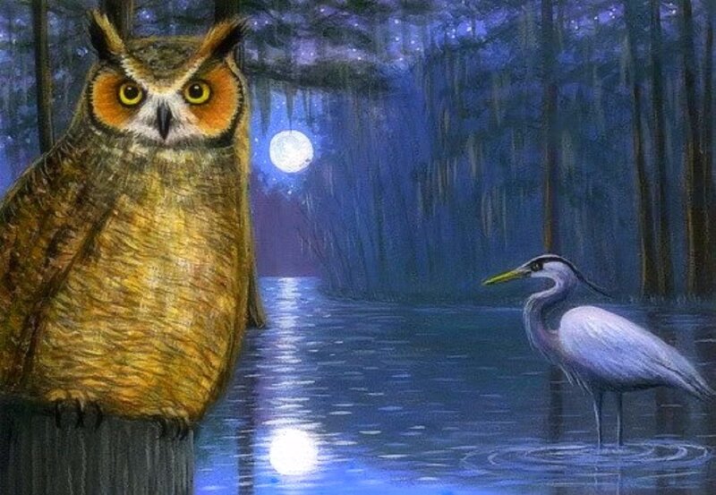 Owl and Heron at Night