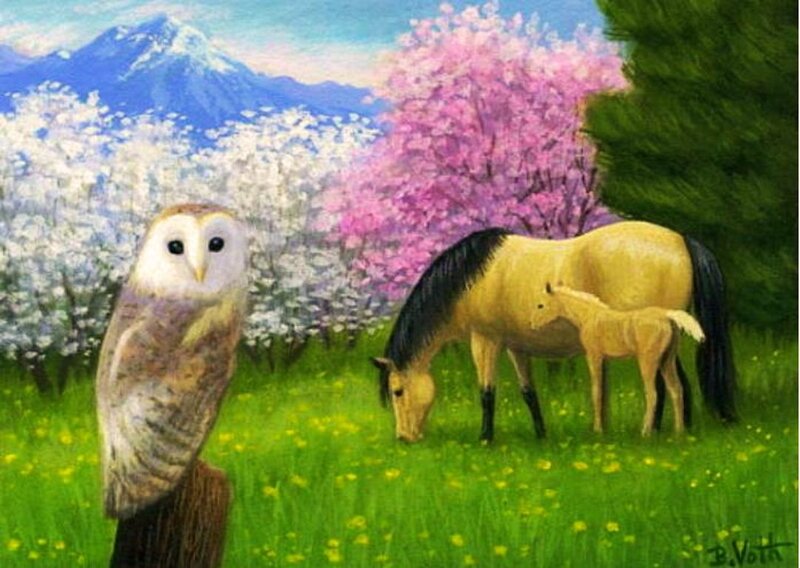Owl and Horses in Field