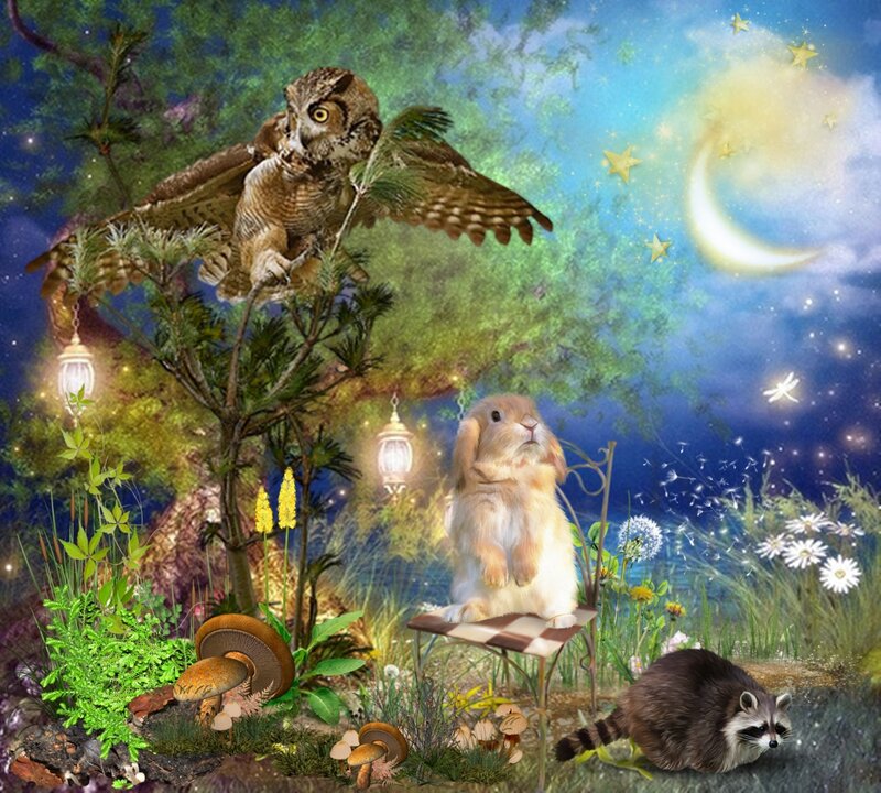 Owl and Rabbit in Forest