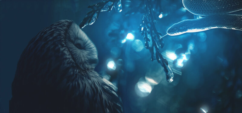 Owl and Snake in Forest