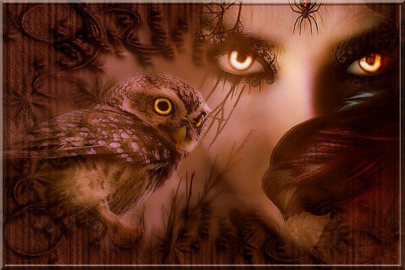Owl and Woman's Eyes