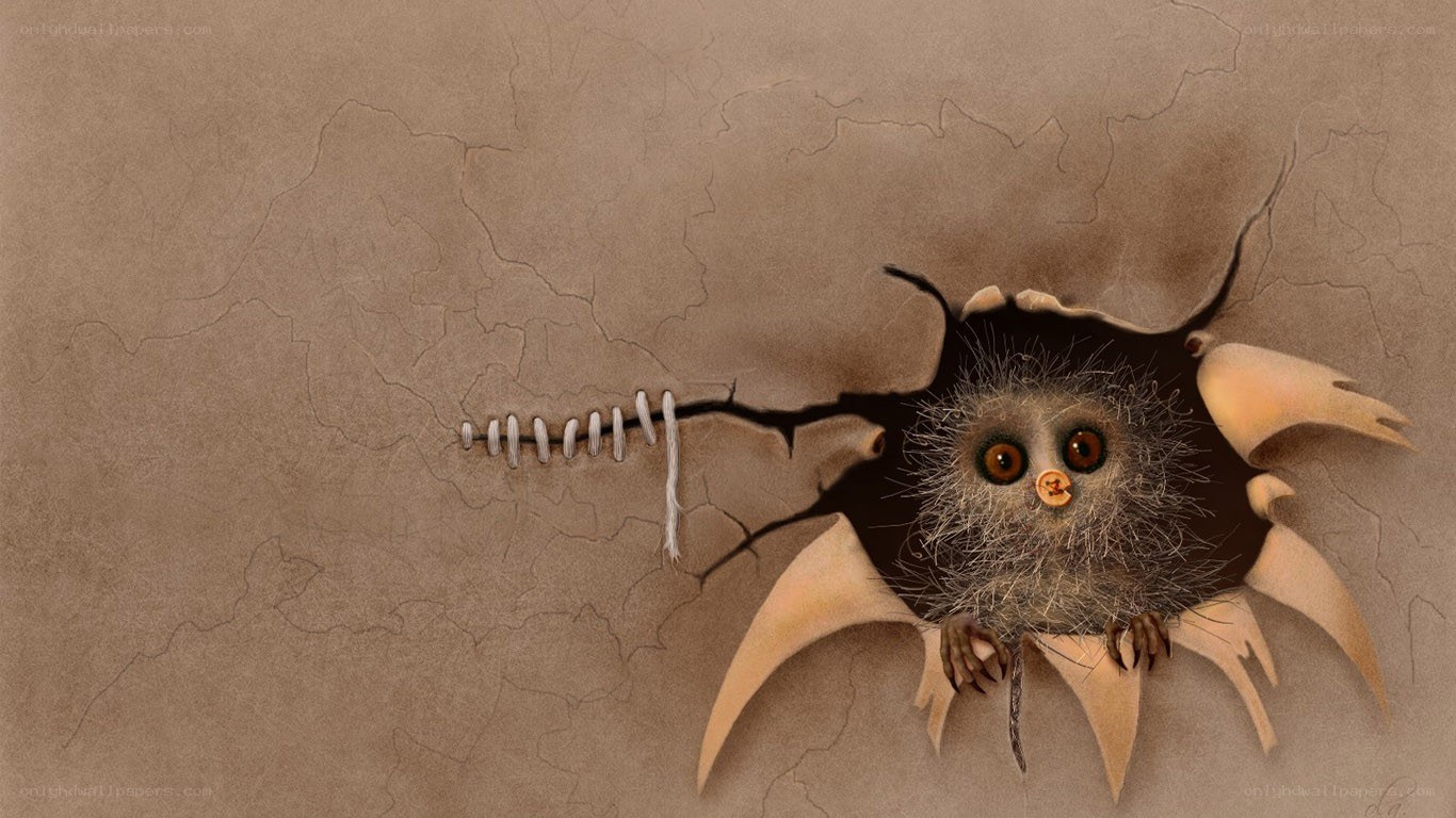 owl breaking through wall