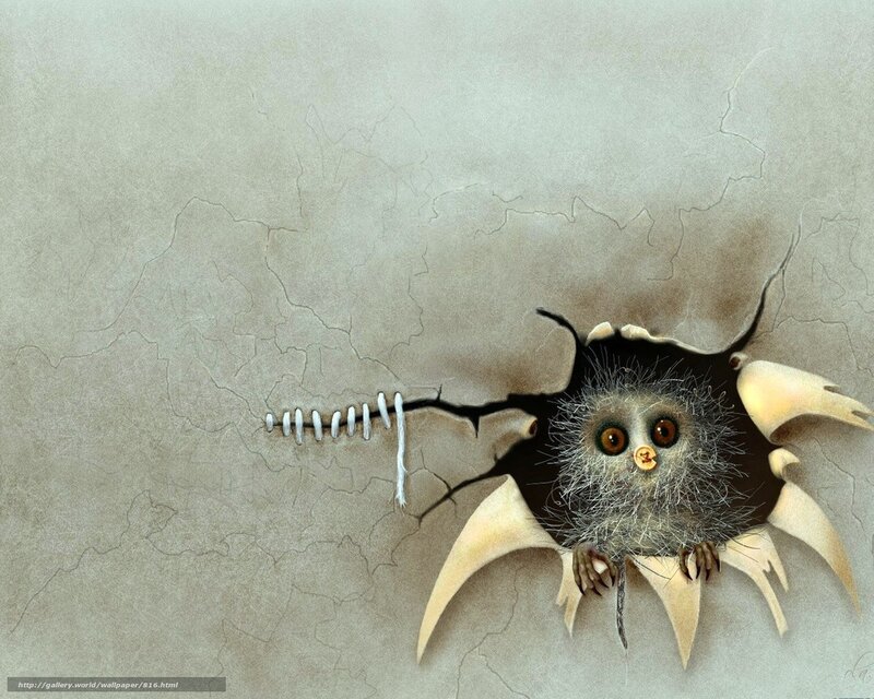 owl breaking through wall