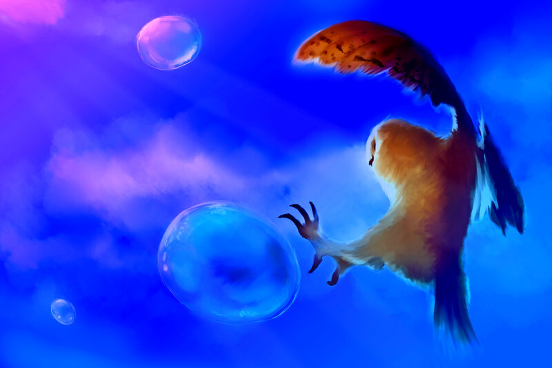 Owl Chasing Bubbles