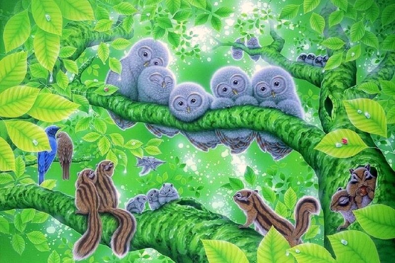 Owl Chicks in Tree