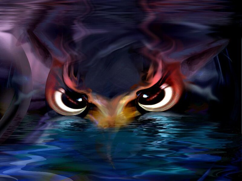 owl eyes in water