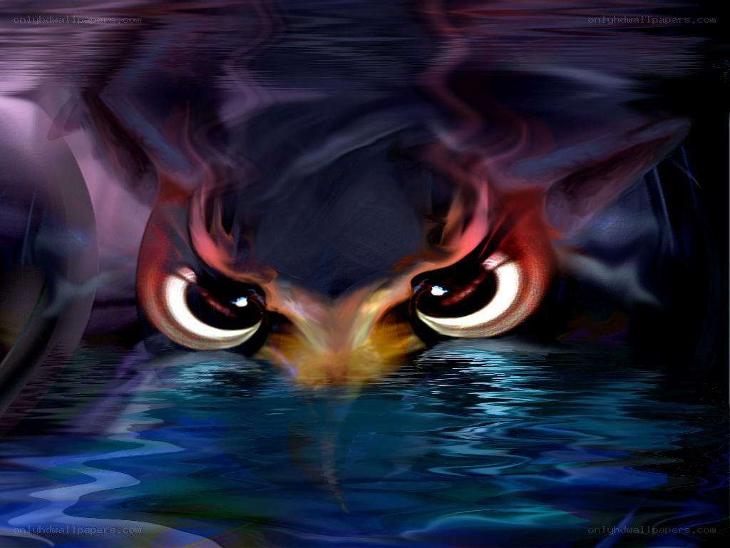 owl eyes in water
