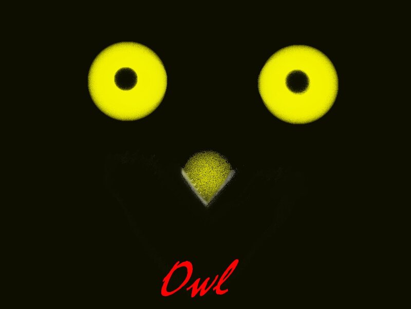 Owl Face