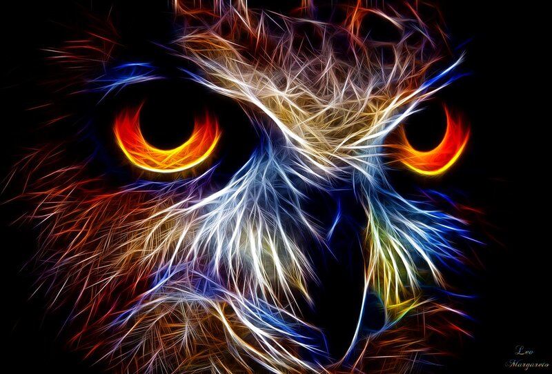 Owl Face with Glowing Eyes — Black