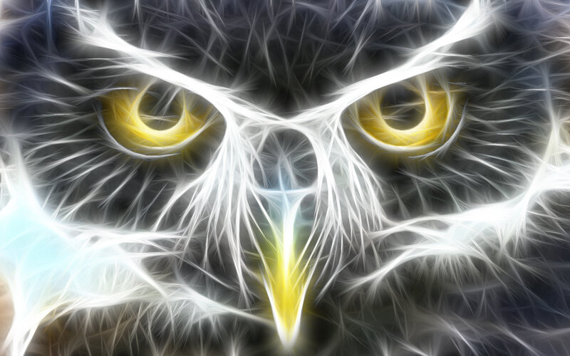 Owl Face with Glowing Eyes — White, Intense, Digital Art