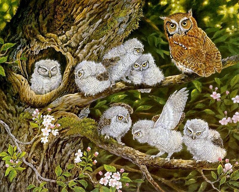 Owl Family in Tree