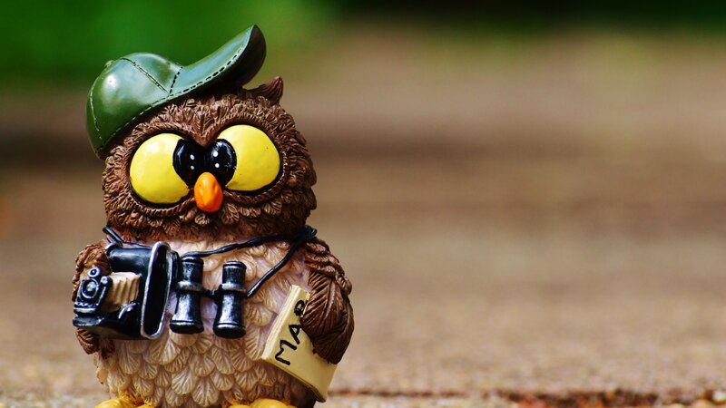 Owl Figurine with Camera — Brown