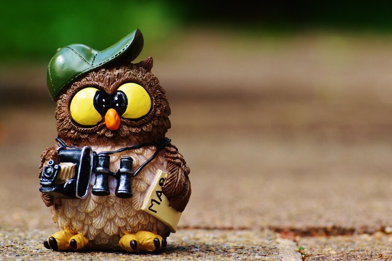 Owl figurine with camera