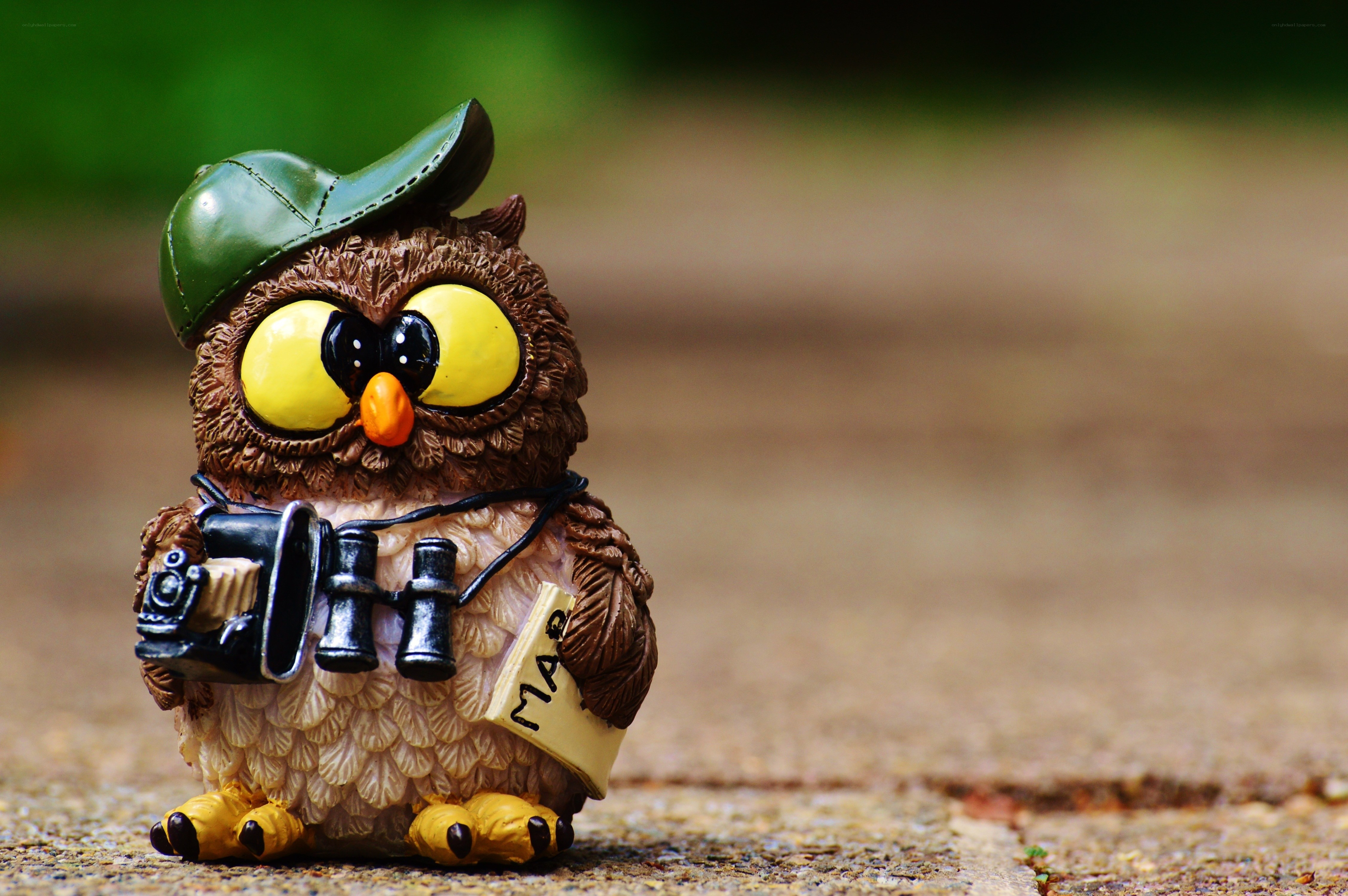 Owl figurine with camera