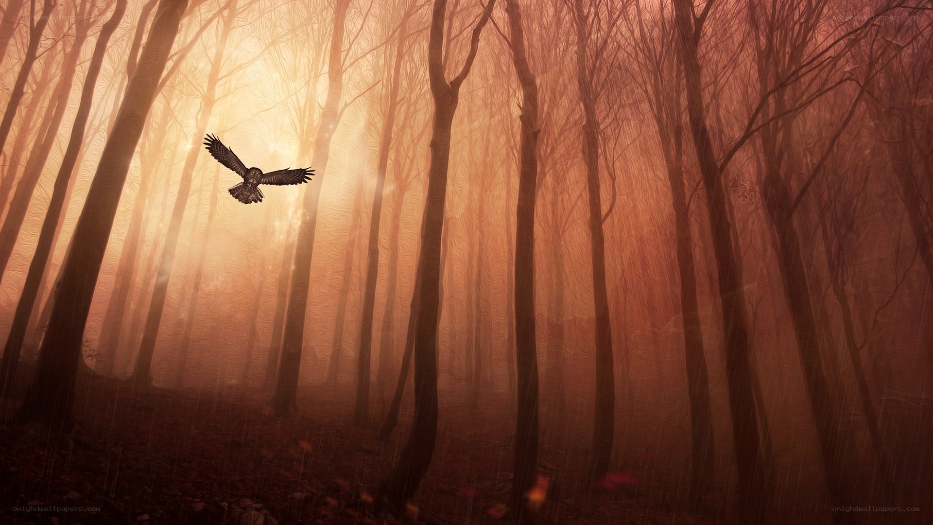 Owl flying in a misty forest