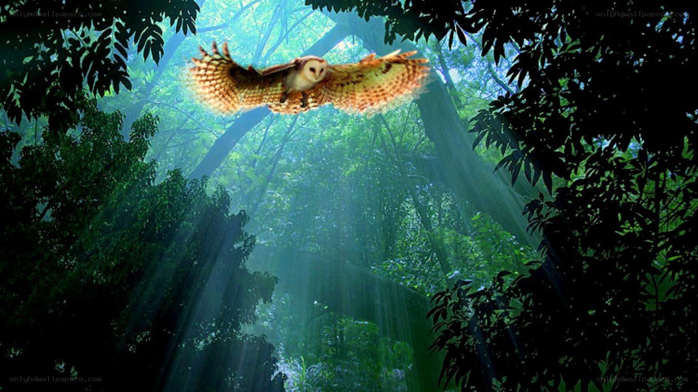 Owl flying in a sunlit forest