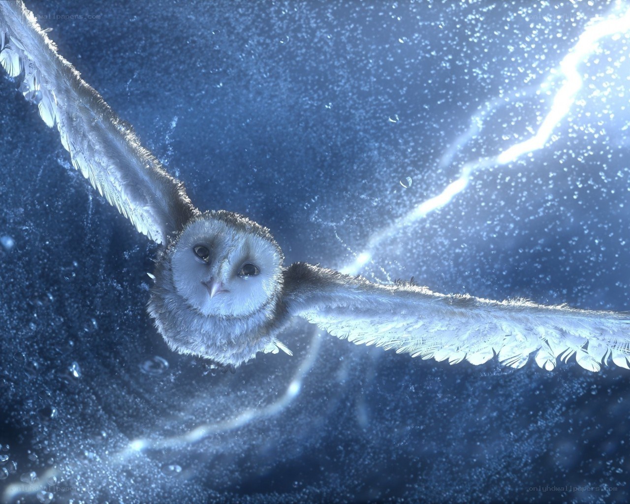 owl flying in blue light