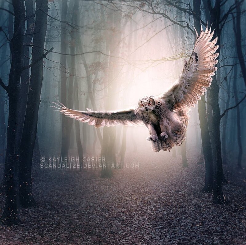 Owl Flying in Forest — Gray, Dramatic