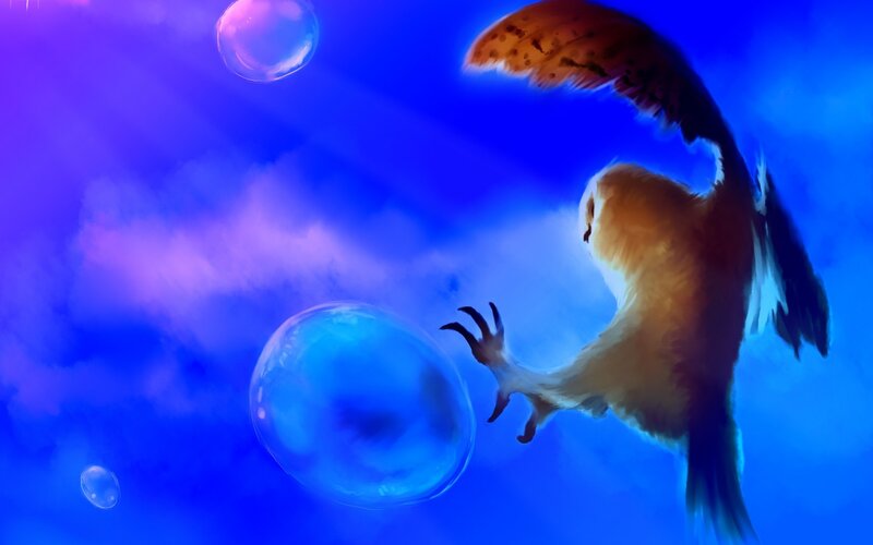 Owl Flying in Sky
